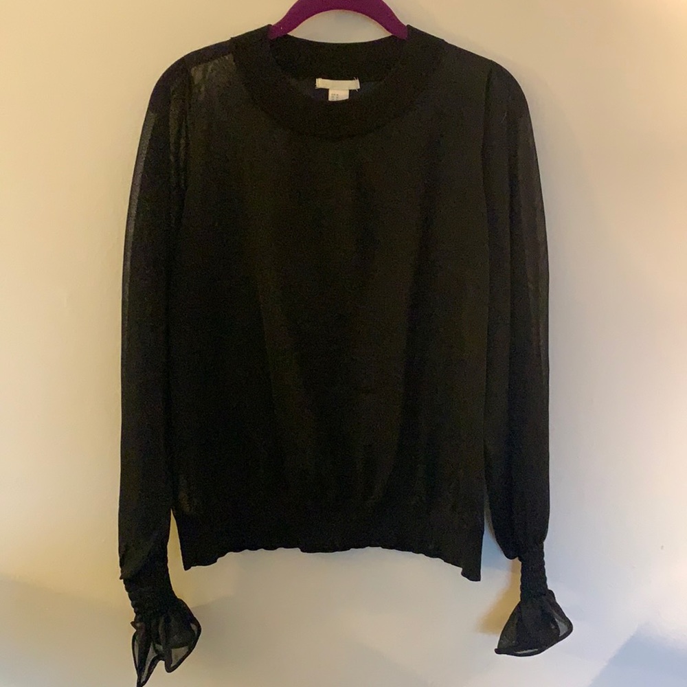 H&M Sheer Top
